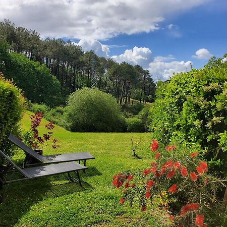Appartement Calme Avec Jardin Bidart Biarritz 外观 照片