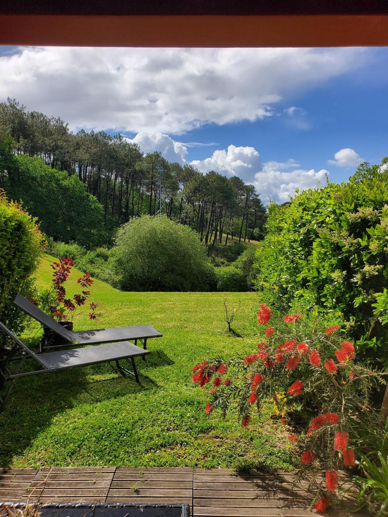 Appartement Calme Avec Jardin Bidart Biarritz 外观 照片